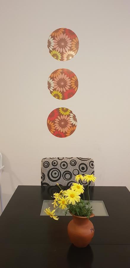 Apartamento Leguizamon Apartment Салта Екстериор снимка