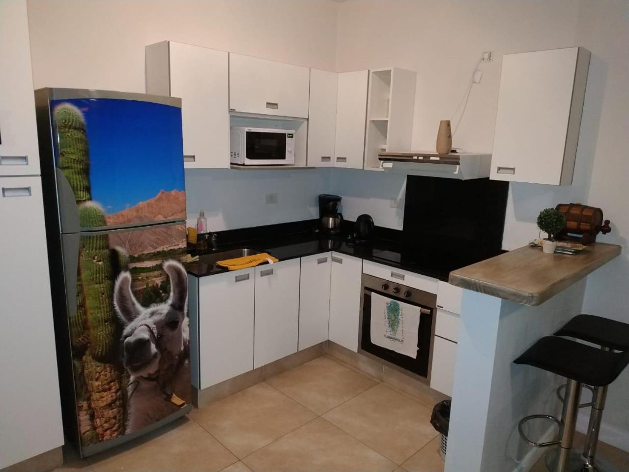 Apartamento Leguizamon Apartment Салта Екстериор снимка